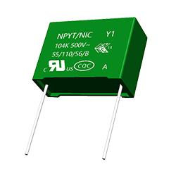 NPYT Y1